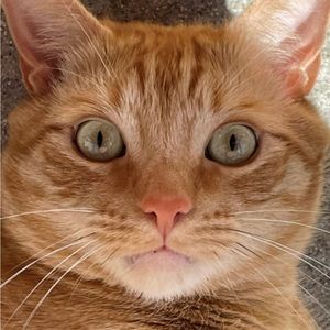 Meet your Posher, Scott